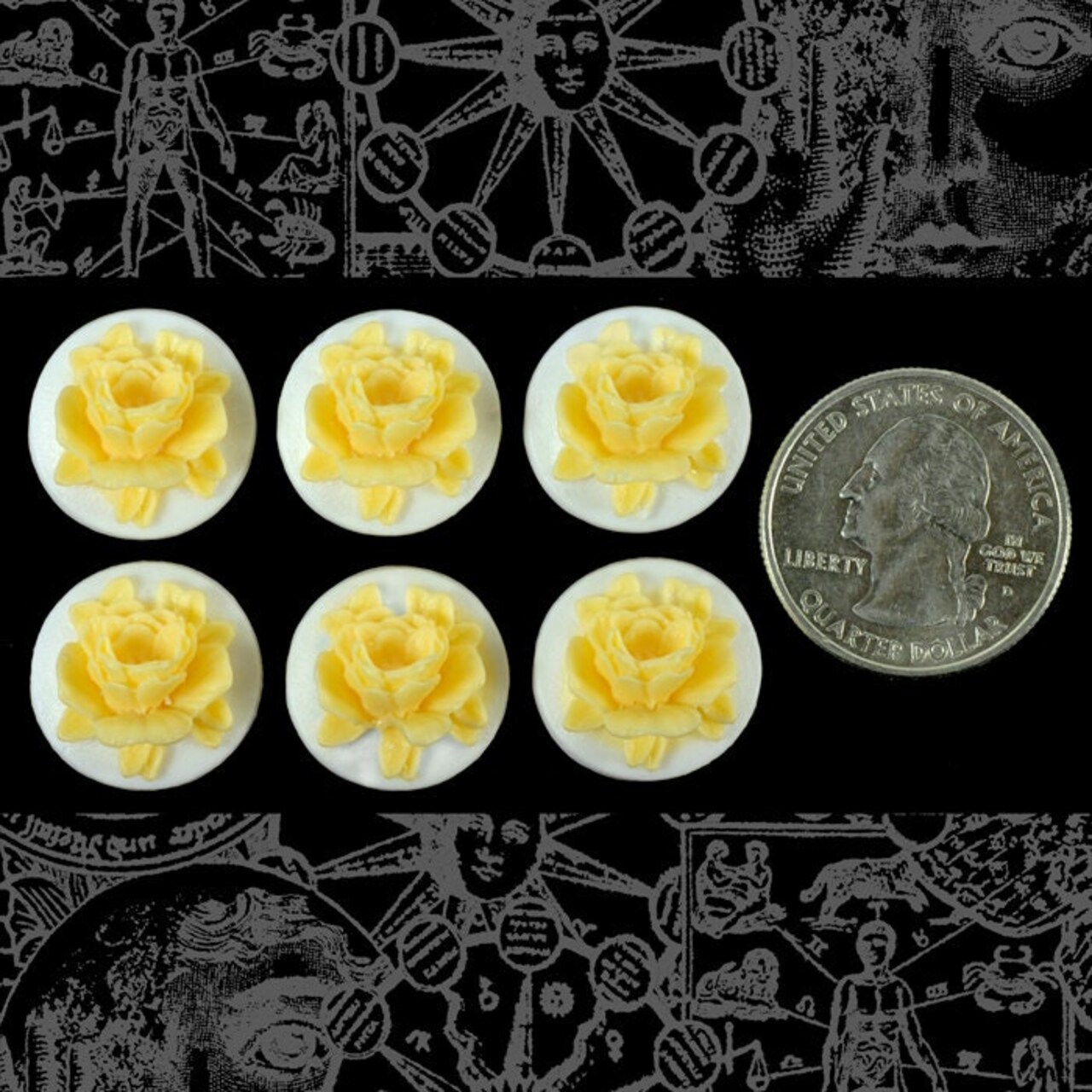Round Lemon Yellow and White Resin 3D Style Cameos 17mm - Set of Six - CAM92